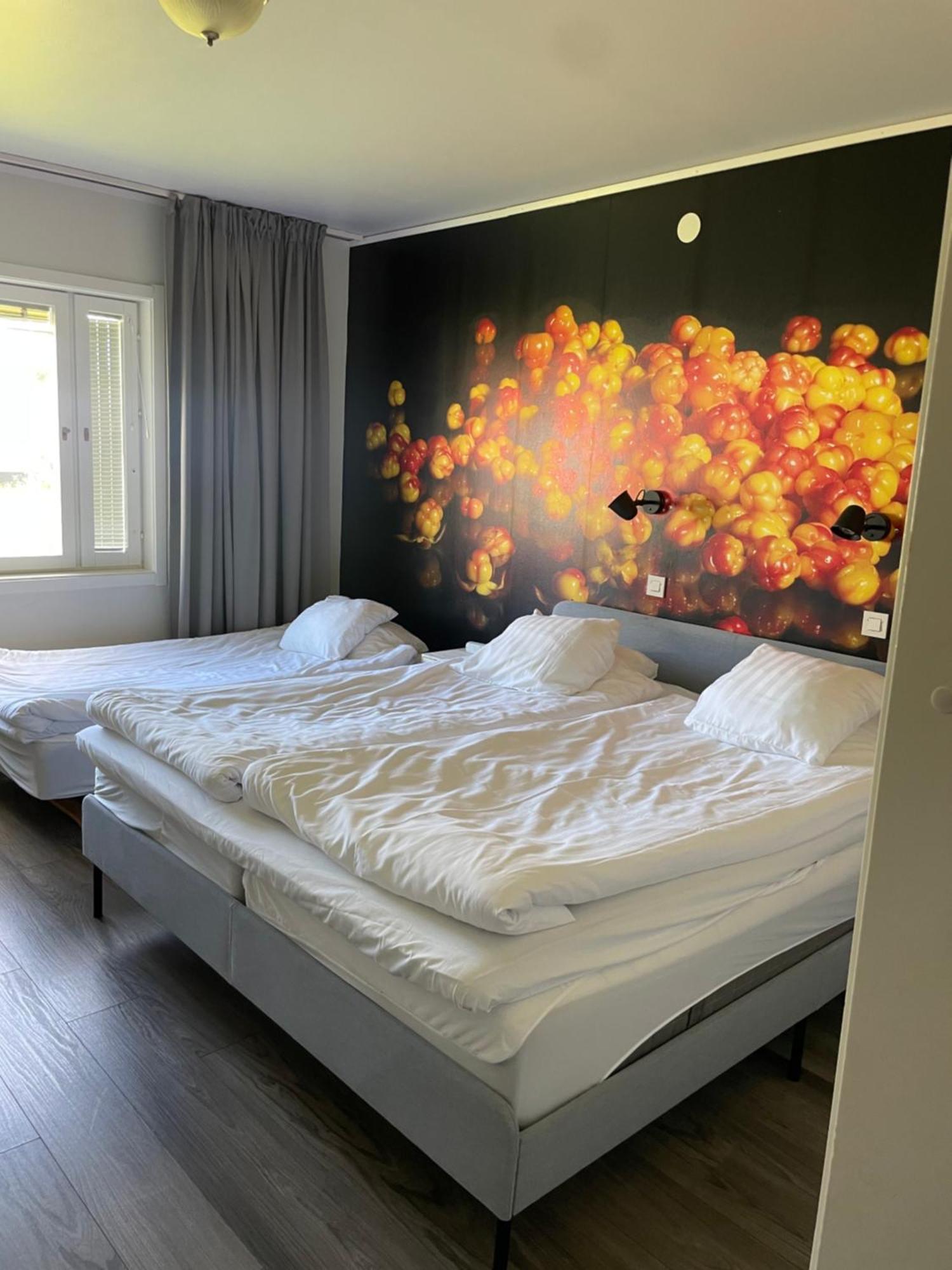 Hotell Smedjan パヤラ エクステリア 写真